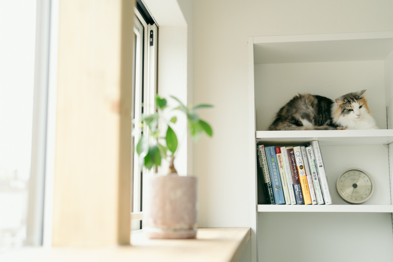 安心して写真を残す