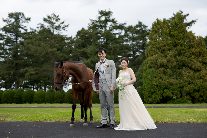 馬とのふれあい