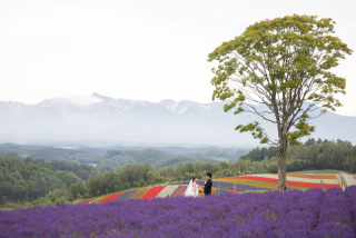四季彩の丘ロケーション❁°
