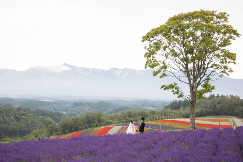 四季彩の丘ロケーション❁°