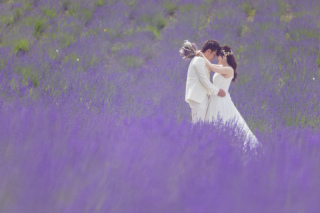 富良野シーズンがやってくる！！