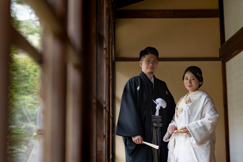 夏の半額キャンペーン