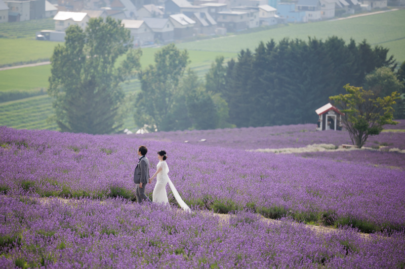 富良野フォトウェディング申込受付中‼