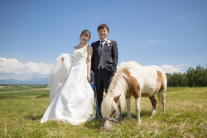 ポニーを連れて