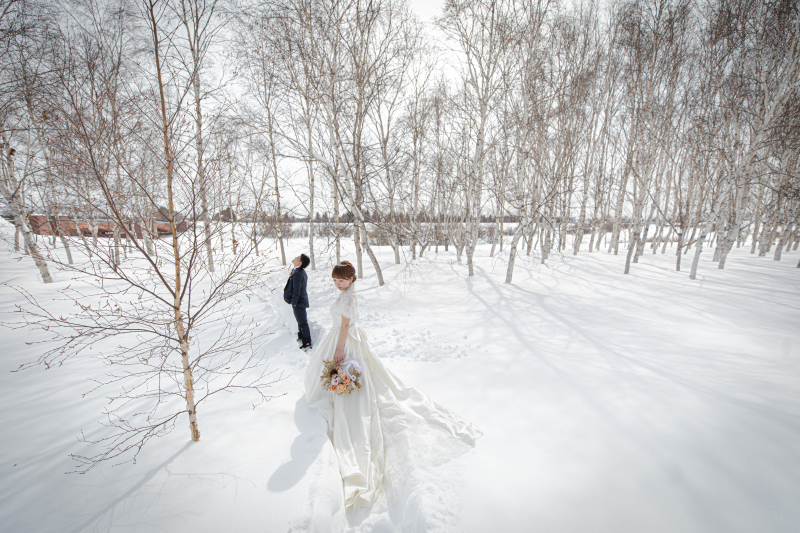 真っ白な雪と白樺