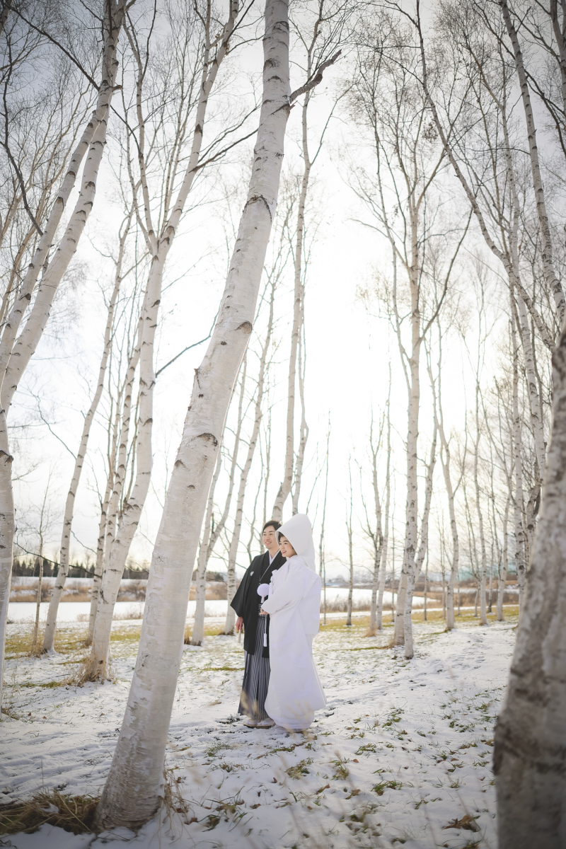 北海道の雪景色