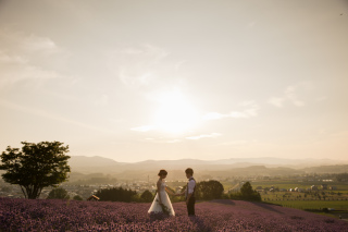 夕暮れ時のラベンダー畑