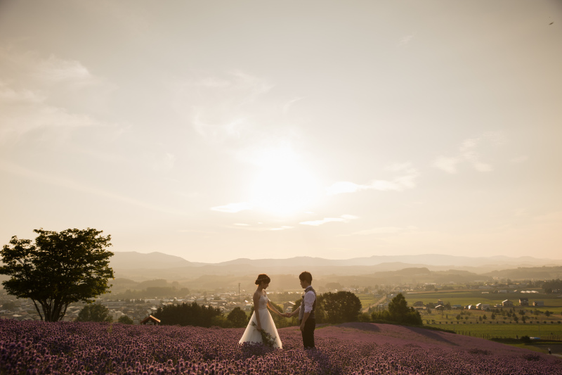 夕暮れ時のラベンダー畑