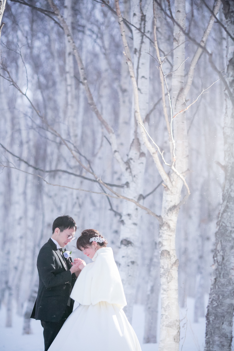 雪と白樺で北海道らしく