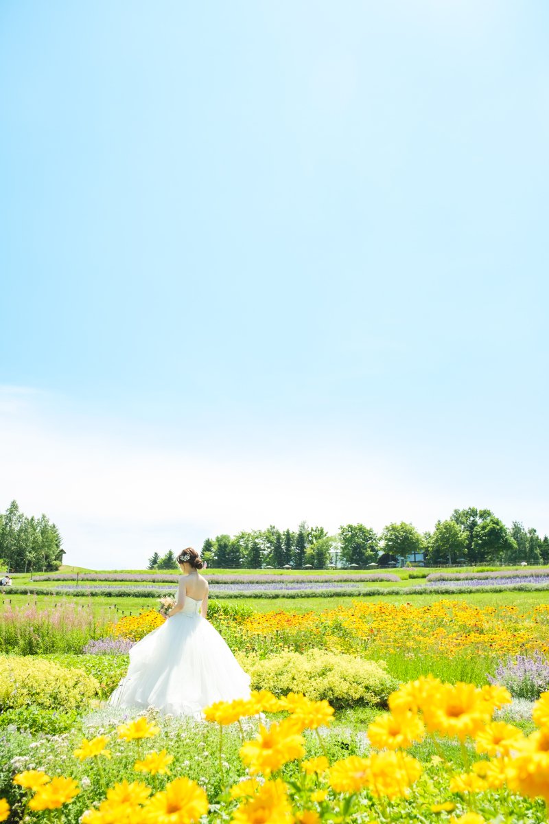 白ドレス セパレート(プリンセス)