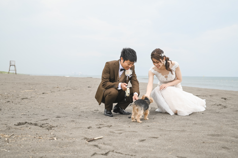 よしよしヾ(・ω・`)