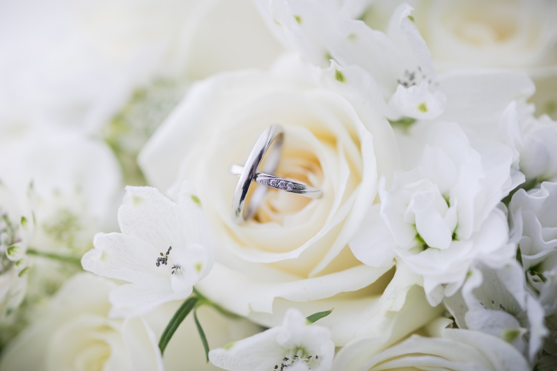 札幌の店舗情報