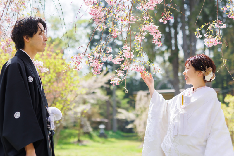 桜ロケーション