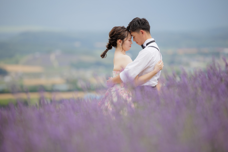 ラベンダー時期