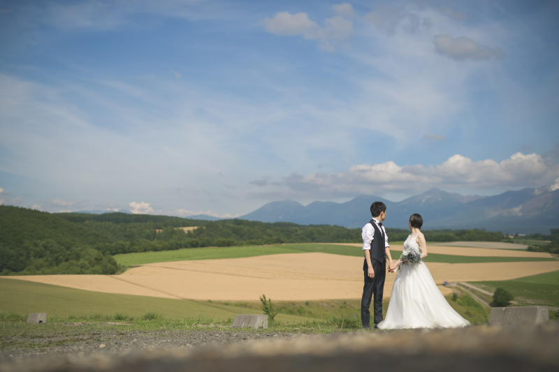 ラベンダー畑の裏側