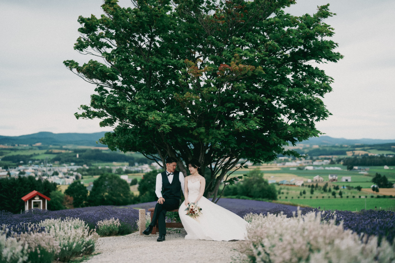 【2024年新春フェア】富良野大相談会