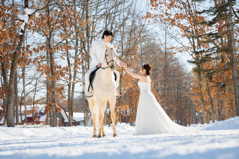 お馬さんが大好きなお二人へ