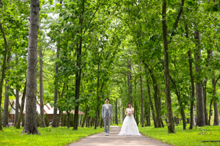 可愛いプレ花嫁姿を残そう！ノーザンホースパークロケーション