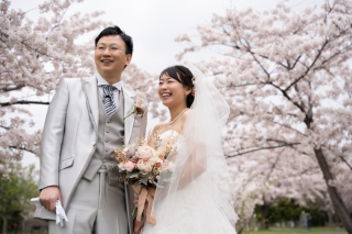 桜ロケーション