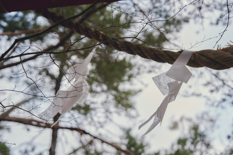 縁結びの神様が宿る神社・・・