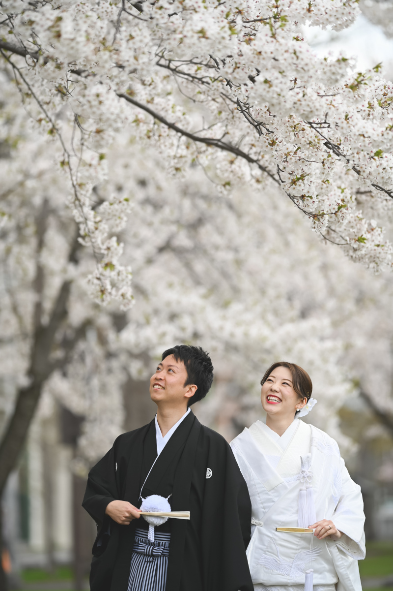 桜ロケーション