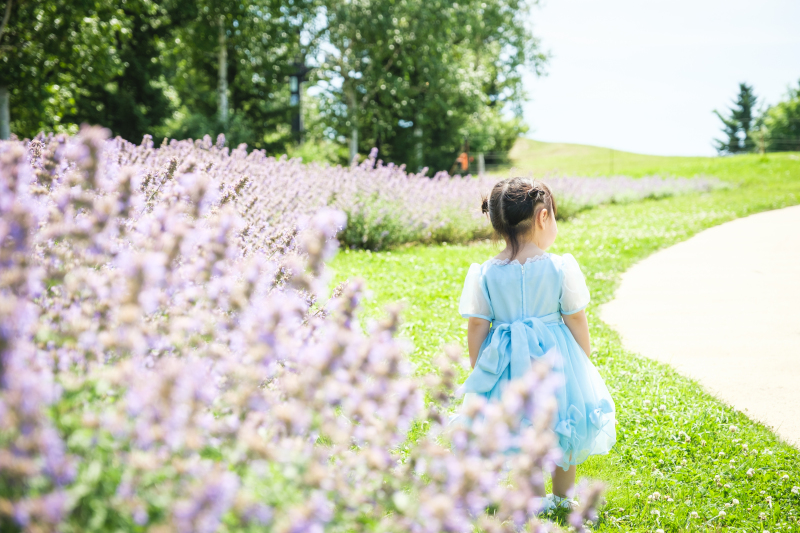子どもの目線から見た景色☆彡