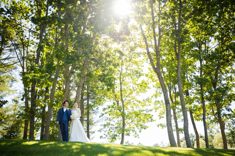 北海道の新緑と