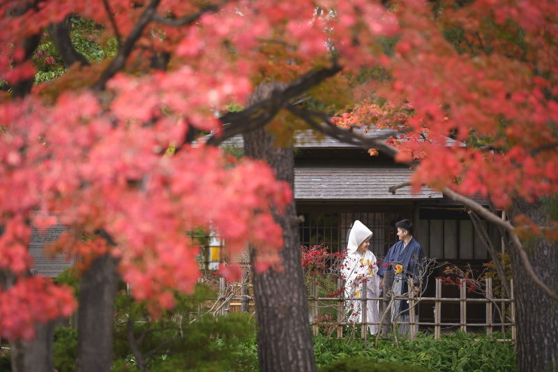【中島公園】紅葉ロケーション