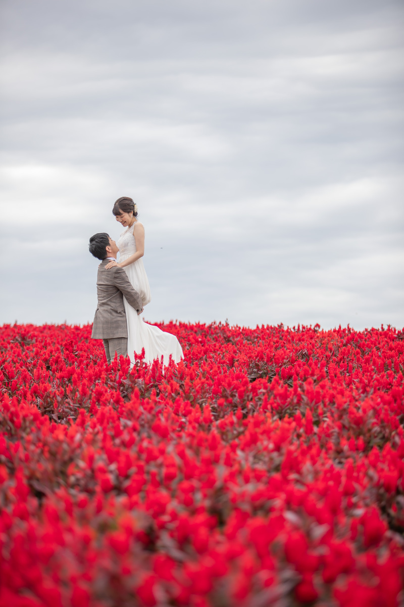 ケイトウの中で❀