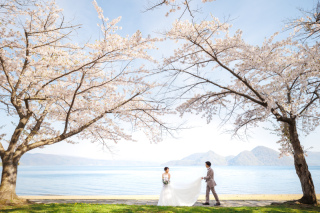 桜の洋和ロケーションフォトウェディング・前撮り❀