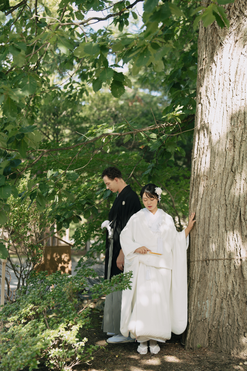 おおきな木の下で