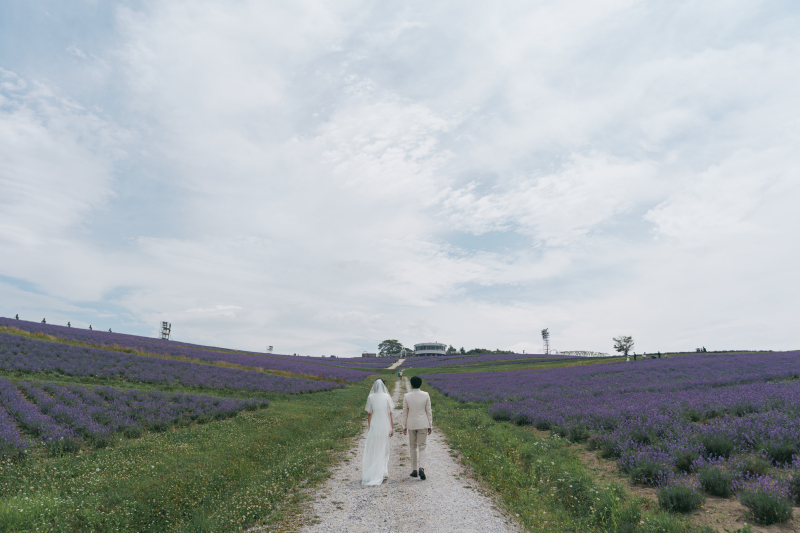 日の出公園ラベンダー園
