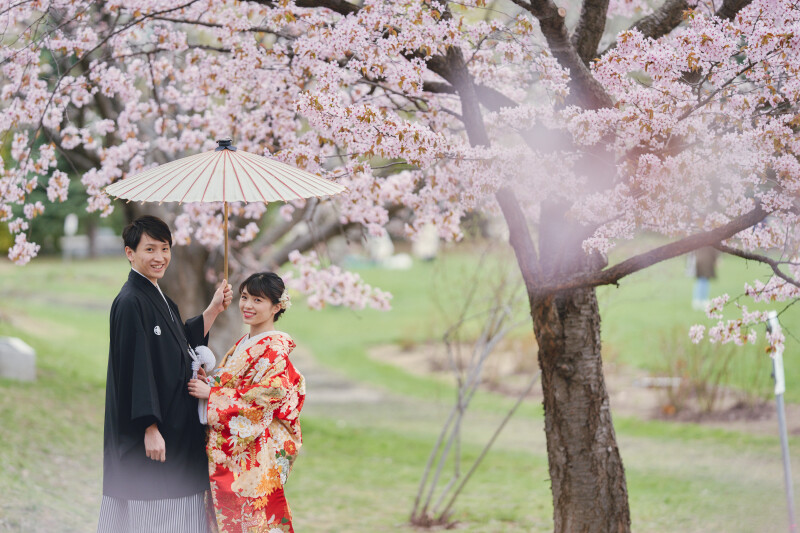 桜に囲まれながら