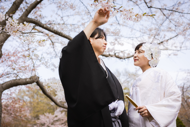 桜と言えば・・・?