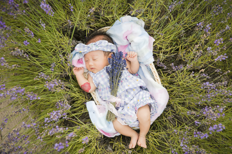 ニューボーンフォト