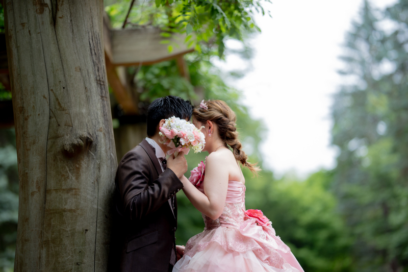 シャングリラプラン