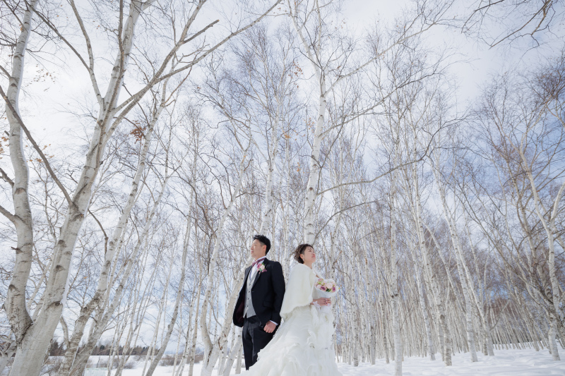 白銀の美しいお写真―