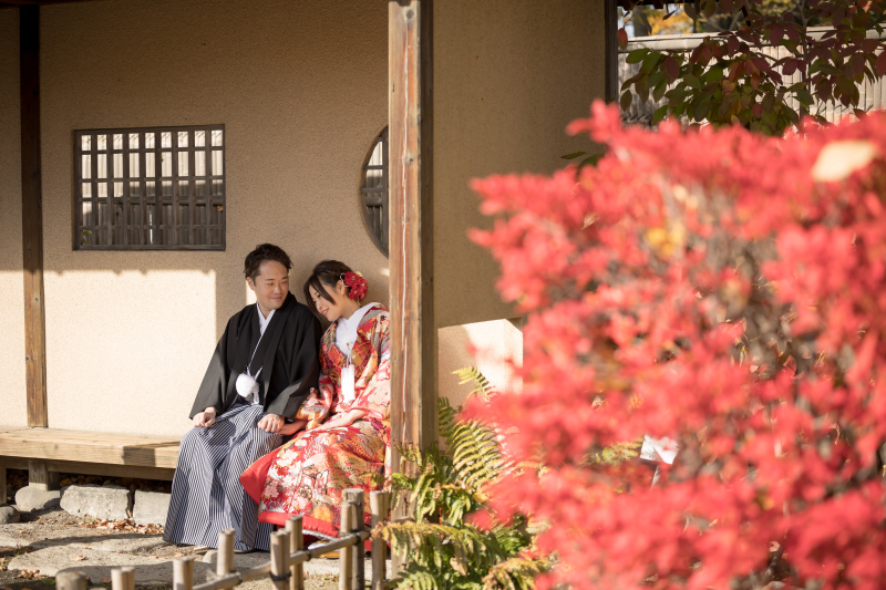 紅葉ロケーション50%オフキャンペーン