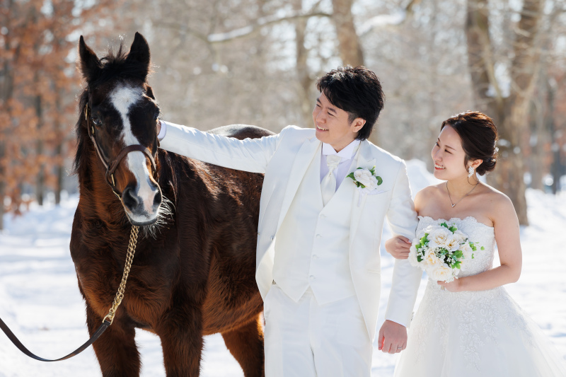 会いたいお馬さんに。