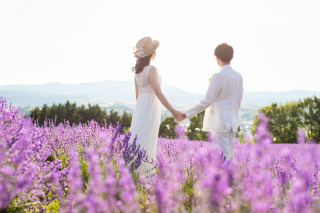 富良野ロケーション