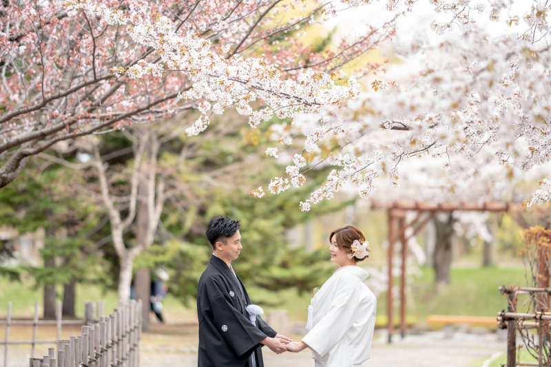中島公園 桜ロケーション