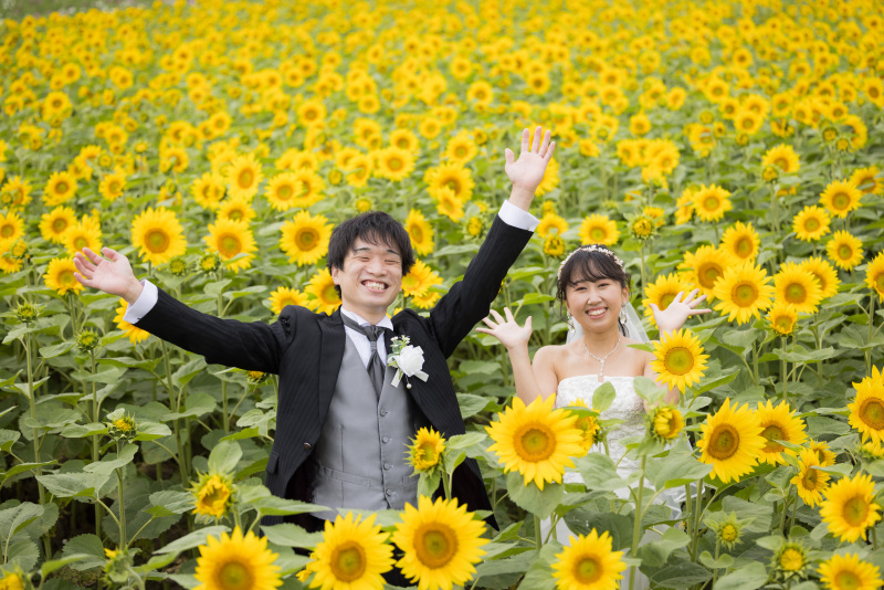 ひまわり畑とSUNSUNの太陽☀