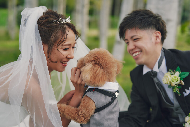 ペットと一緒にロケーション撮影