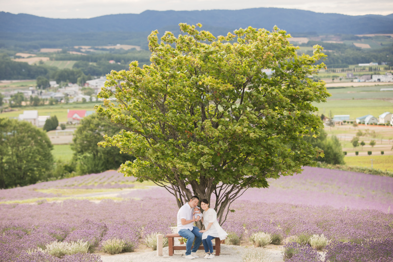 大きな木の下で