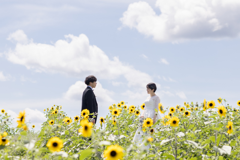 北竜町 ひまわりの里