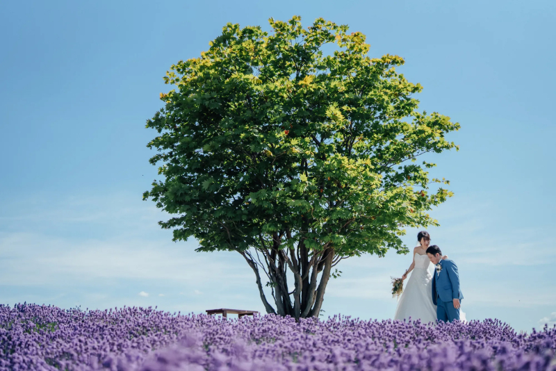 【7・8月撮影限定】富良野プラン|洋装2着・8時間フリー・アルバム付き(富良野までの出張料を含む特別価格)