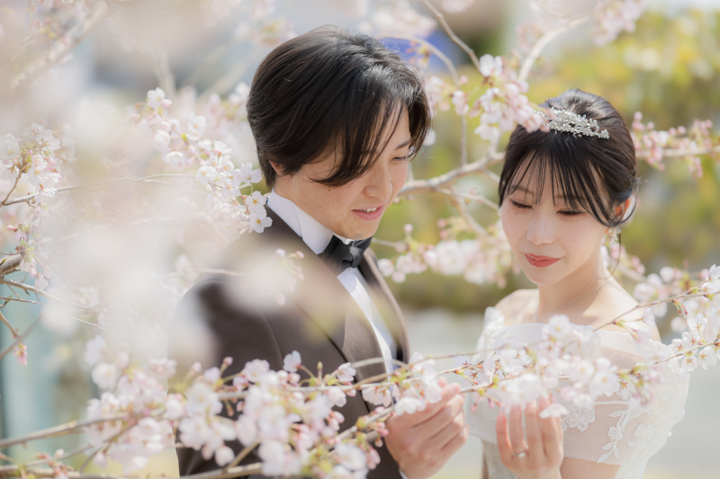 桜の公園はお二人の思い出の場所