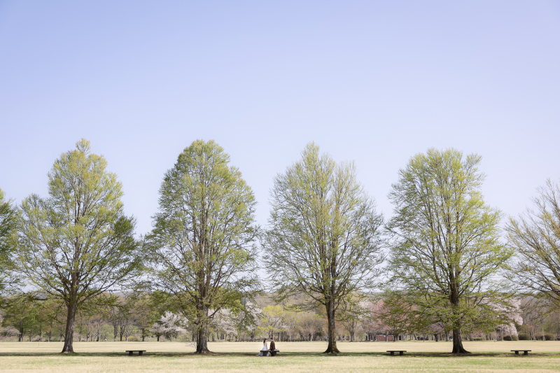 まさに広大☆みちのく杜の湖畔公園
