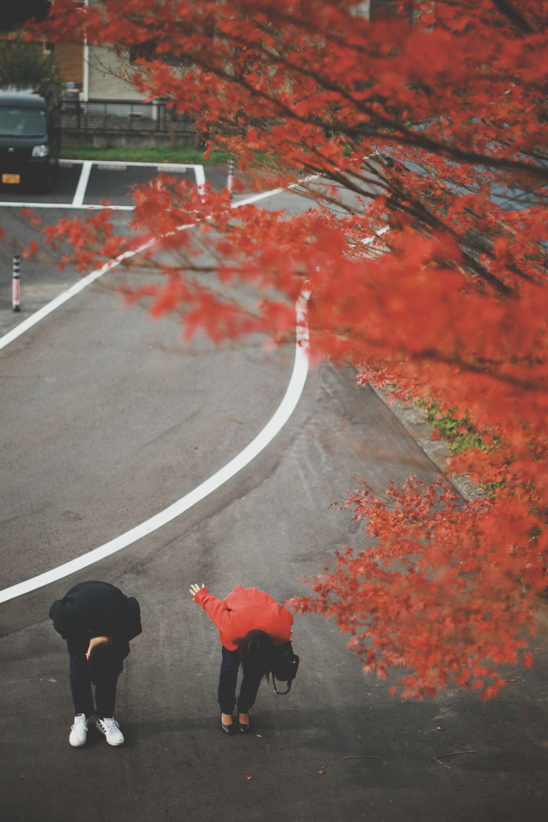 1日よろしくおねがいします！！