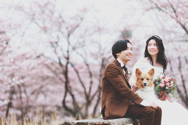 さくらと愛犬